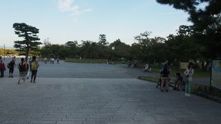 渡月橋を一望。