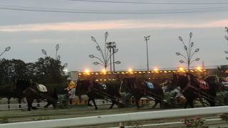 初心者でもおススメです！