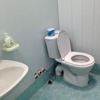 便座の向かい側のシャワーは水量に難有り