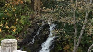 ここでは。。。