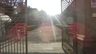 ちょっと離れたところにあるピッティ宮殿の裏側に広がる庭です