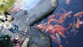 のんびり散歩できます