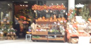 なんばパークスにある花屋さん