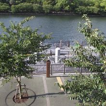 遊歩道南側道路からの眺めです