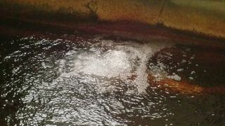 プチプチはじける炭酸泉が貸切できます