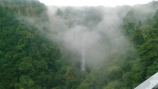 九重夢大吊橋から見えます