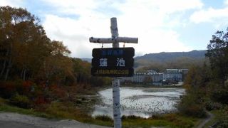 志賀高原を訪れたら、必ず立ち寄る池です♪