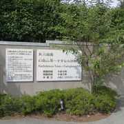 俳人・角川書店創設者の角川源義氏の邸宅跡です