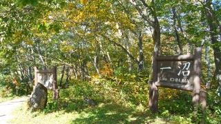 志賀草津道路沿いにタタズム、神秘的な沼♪