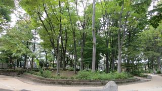 地下には縄文時代の遺跡が保存されています