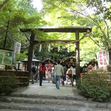 さわやかな木立の中にあります。