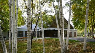 白樺の森の中に建つ、チーズ工房！