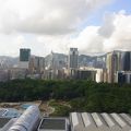 九龍公園が見えた