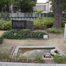 手前に野鳥の水飲み場があります