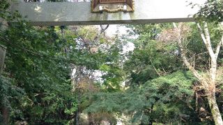 井伊家の神社さん!!