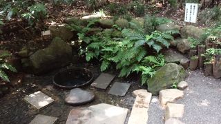 おちついています