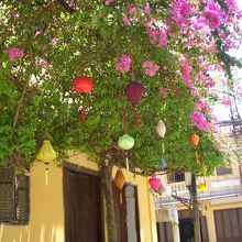 ゆっくりと散策を。