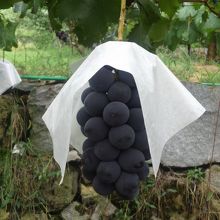 おいしかったです