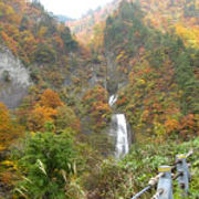 紅葉の時期がオススメ。