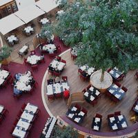 朝食レストランは５階まで吹き抜け