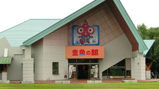 長洲町の『金魚の館』