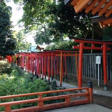 京都の伏見稲荷みたい