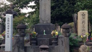 こんなところに