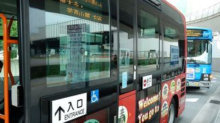 癒し時々どつきに注意