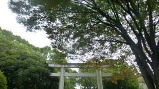 気持ち良い場所です