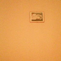 変な写真（絵かも）