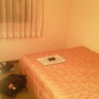 ベッドはそこそこ広い