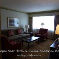 今回泊まった部屋のリビング。左のソファーがベッドになります。