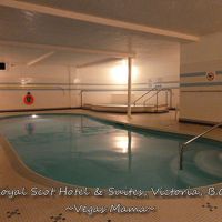 室内プール。寒いので外は無理なんでしょうね