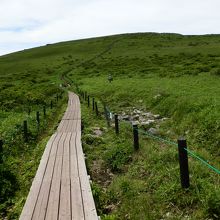 車山高原の湿原を行く。