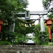 2000年の歴史を持つ『疋野神社』