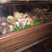 新鮮な貝を色々な料理でいただく貝専門店