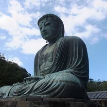 眉間にあるのは白毫で、人々を照らす光を発すると言われています