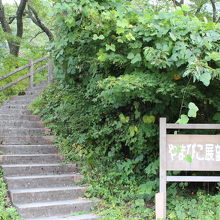 展望台は駐車場の先にあります