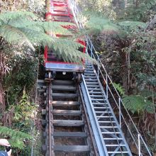 トロッコ。急降下します