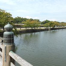 お堀　船でお堀めぐりもできます