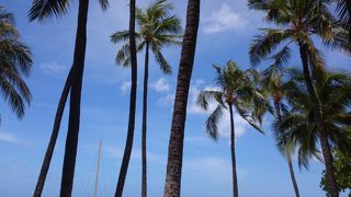 晴天のワイキキビーチ