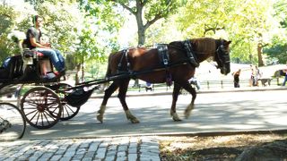 ニューヨーク市民と観光客の憩いの場