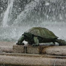 ふふふふふ。ガメラが（*^_^*）