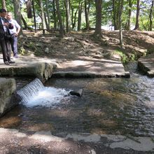 湧き水を三方に平等に分ける仕組み