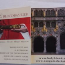 見学後にもらった小さいパンフ