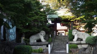 二子玉川の不思議寺
