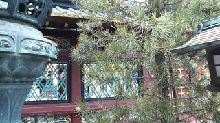 塀自体が芸術品です