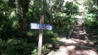 対岸の村、メコン川に臨む緑豊かなお寺