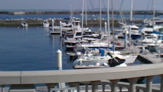 秋でもヨットハーバーを見て風に吹かれて。。。