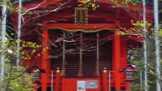 芦ノ湖の箱根神社の隣に分社がありますが、本社は、別にあります